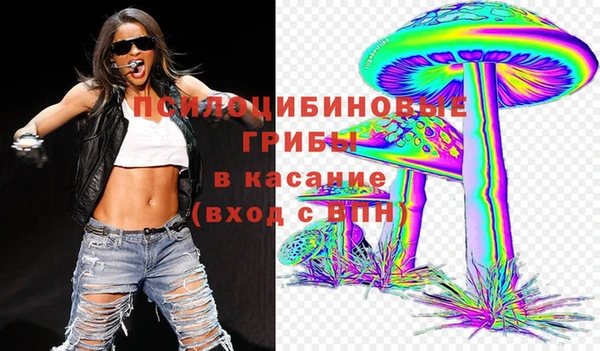 дурь Анжеро-Судженск