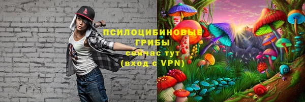 метадон Ельня